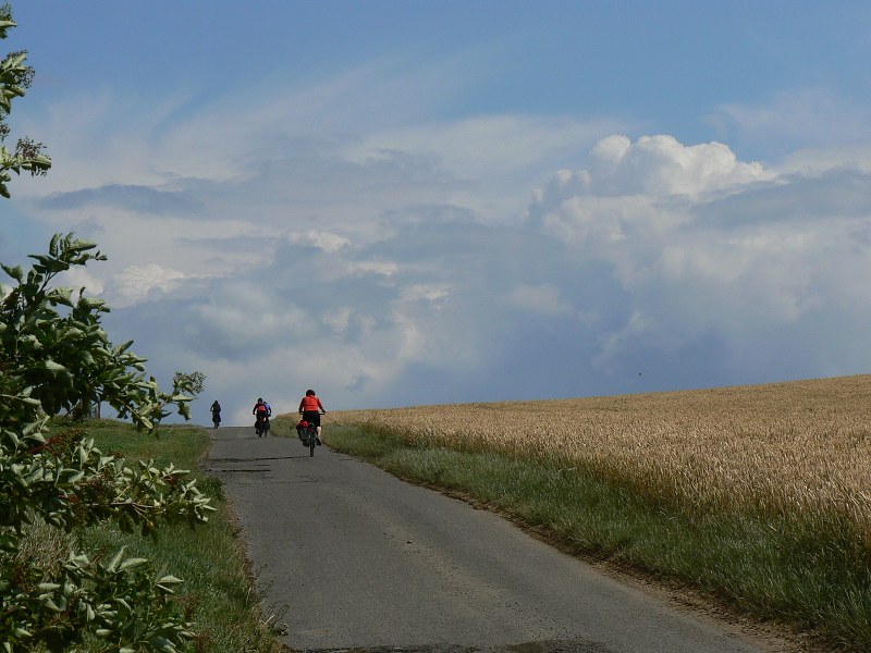 Jméno: P1290413