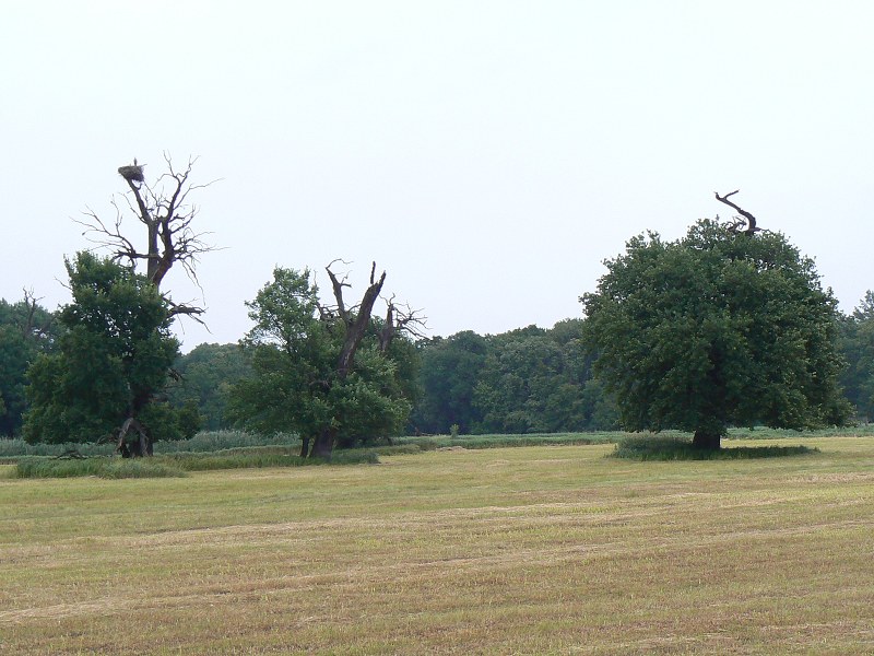 Jméno: P1290480