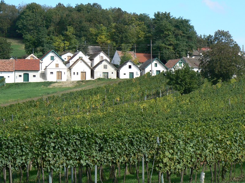 Jméno: P1450114