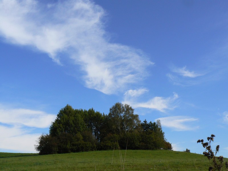 Jméno: P1510975
