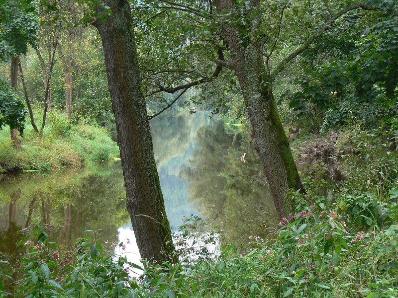 Jméno: P1520026