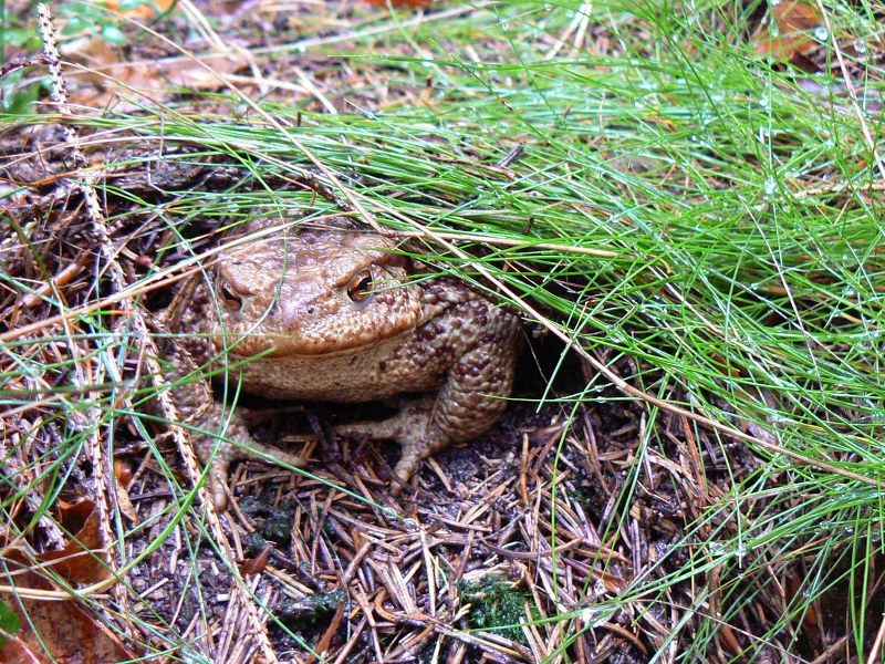 Jméno: P1520067