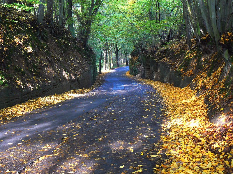 Jméno: P1520673
