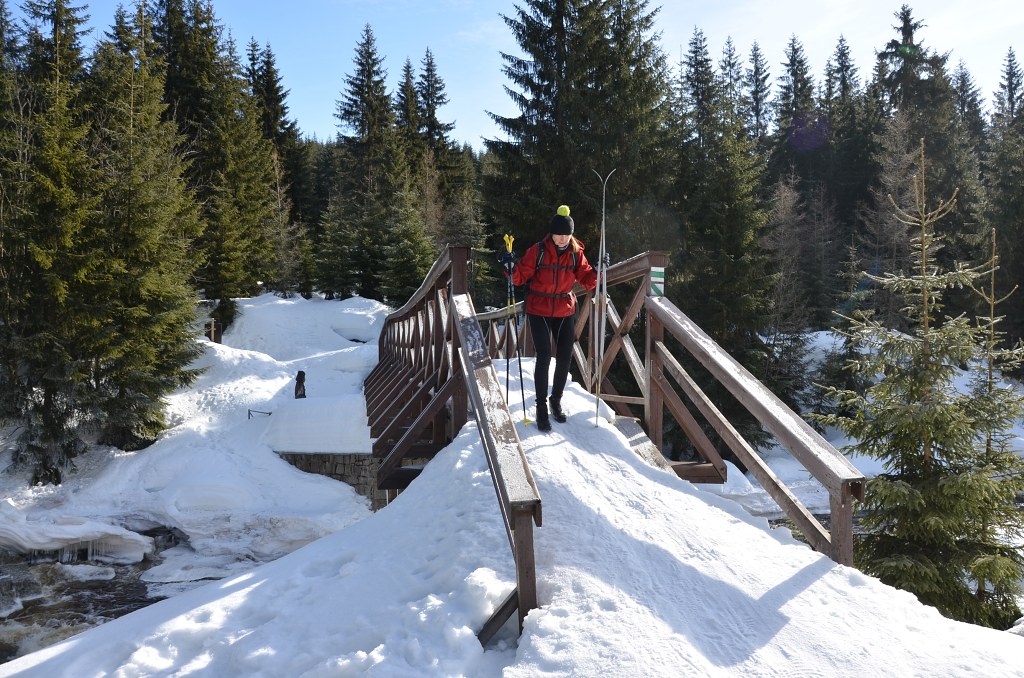 Jméno: DSC_5111