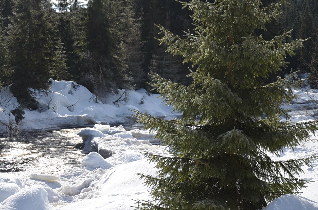 Jméno: DSC_5114