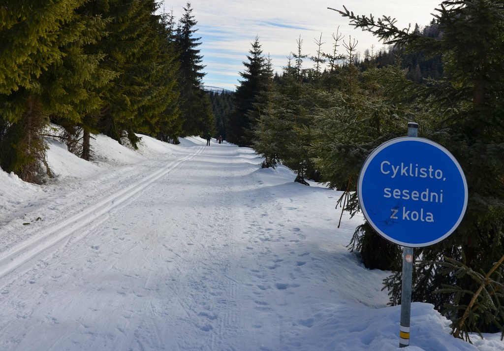 Jméno: DSC_5116