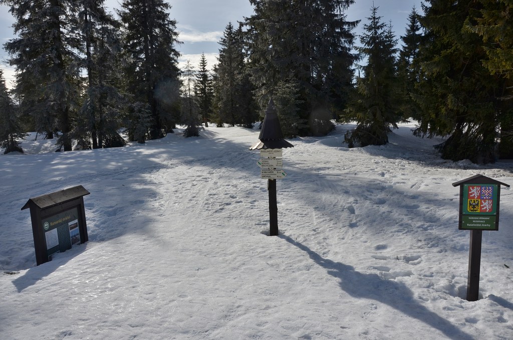 Jméno: DSC_5133