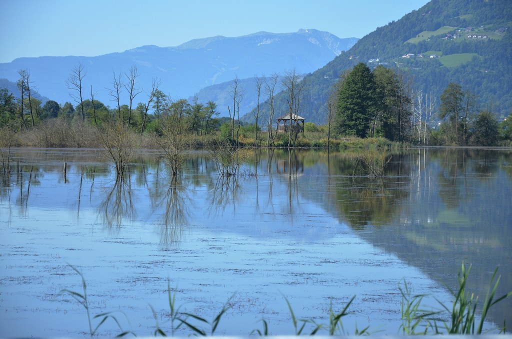 Jméno: DSC_5631