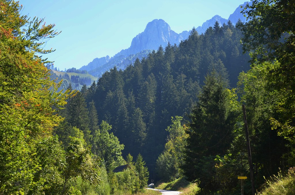 Jméno: DSC_5869