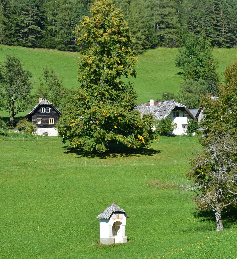 Jméno: DSC_5892