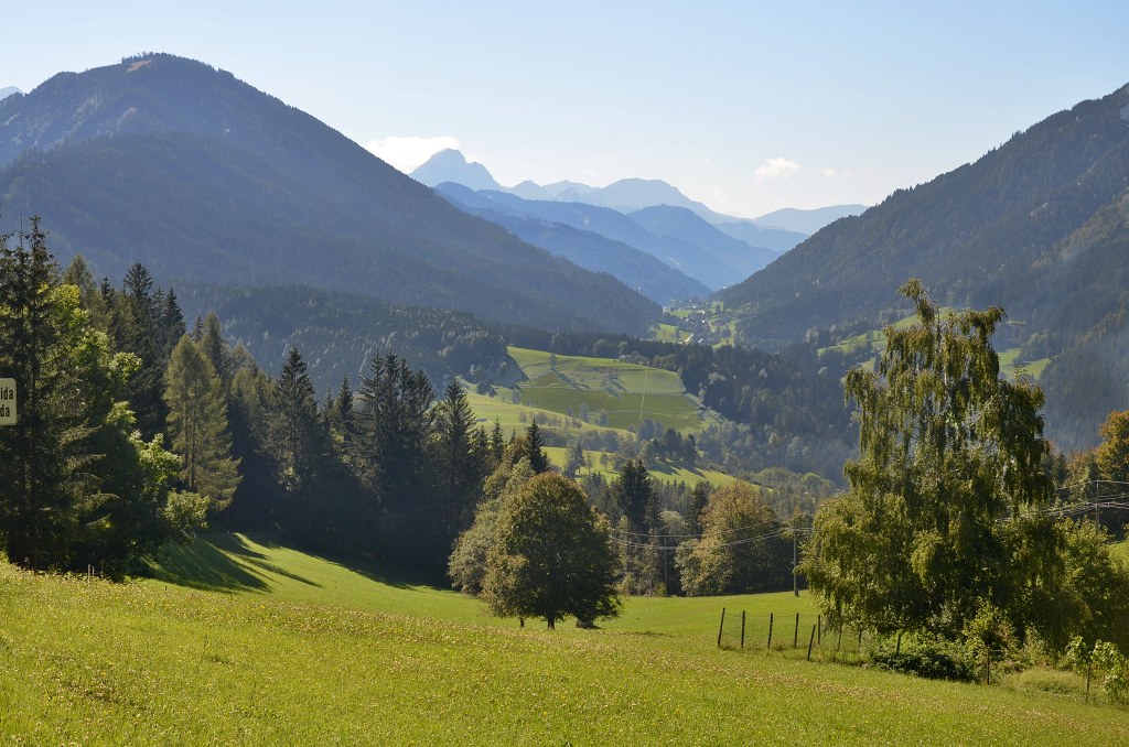 Jméno: DSC_5894