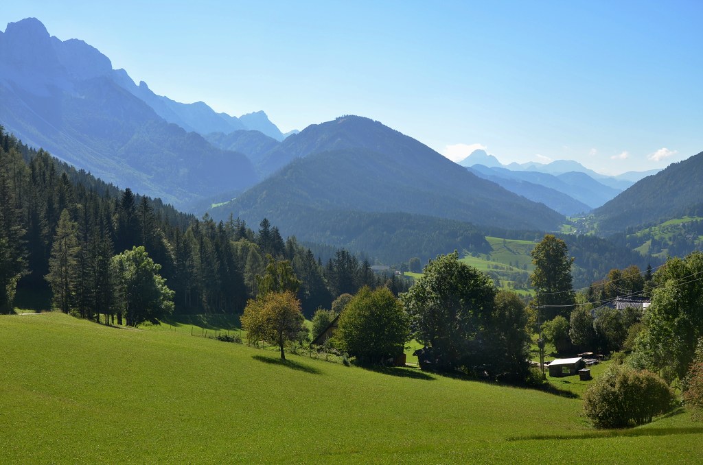 Jméno: DSC_5896