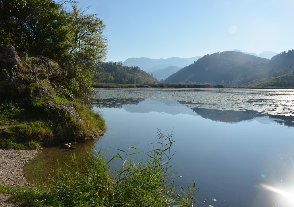 Jméno: DSC_5913