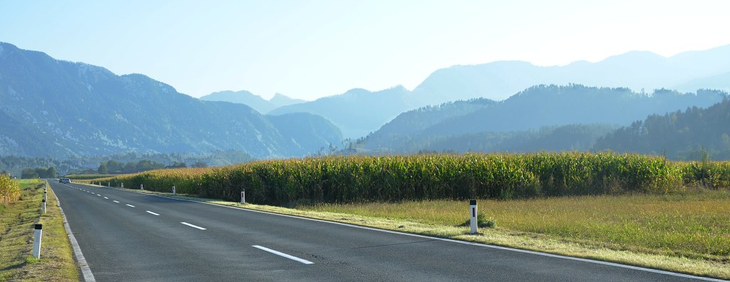 Jméno: DSC_5919
