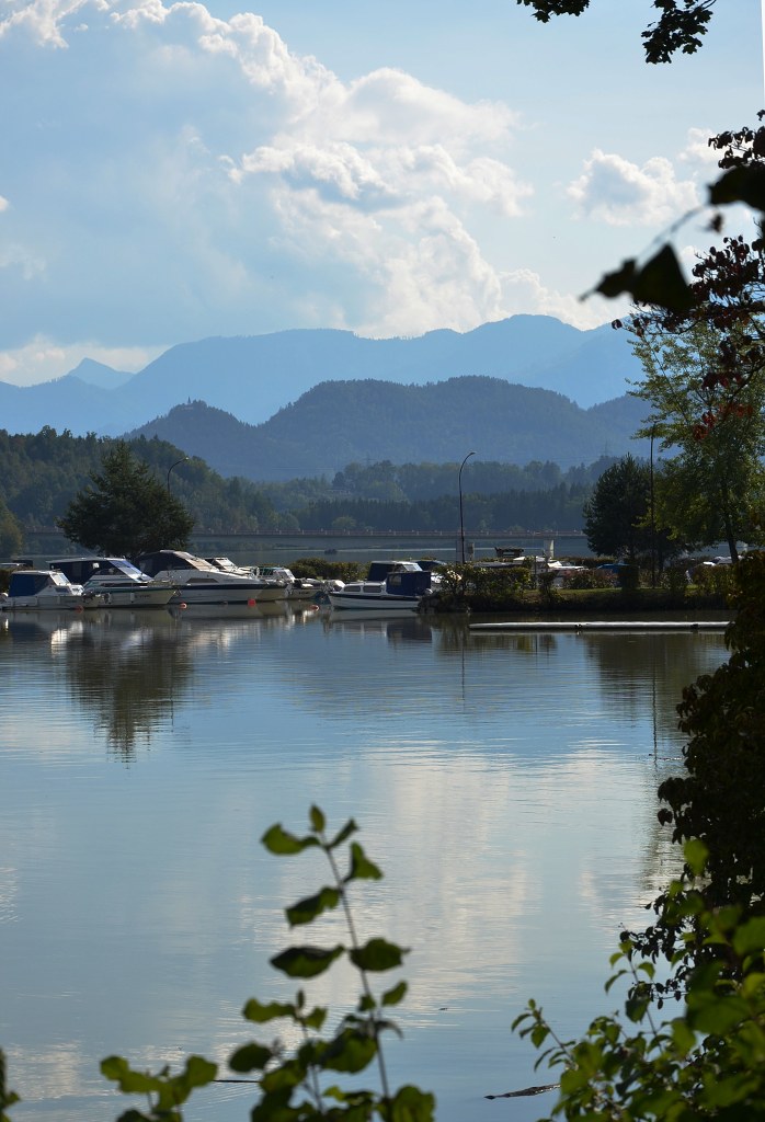 Jméno: DSC_5987