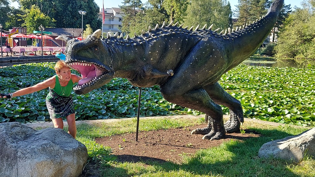 3.den - Švýcarsko i Německo - z kempu ve Winterthuru do Konstanz - u kempu Rosenberg