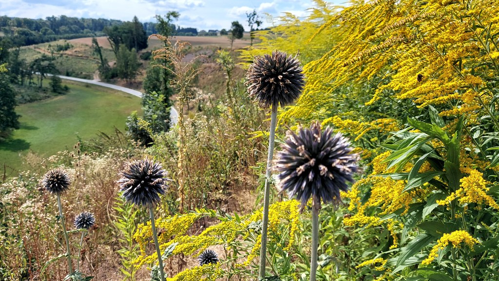 7.den - Německo - Řezno (Regensburg) - Domažlice